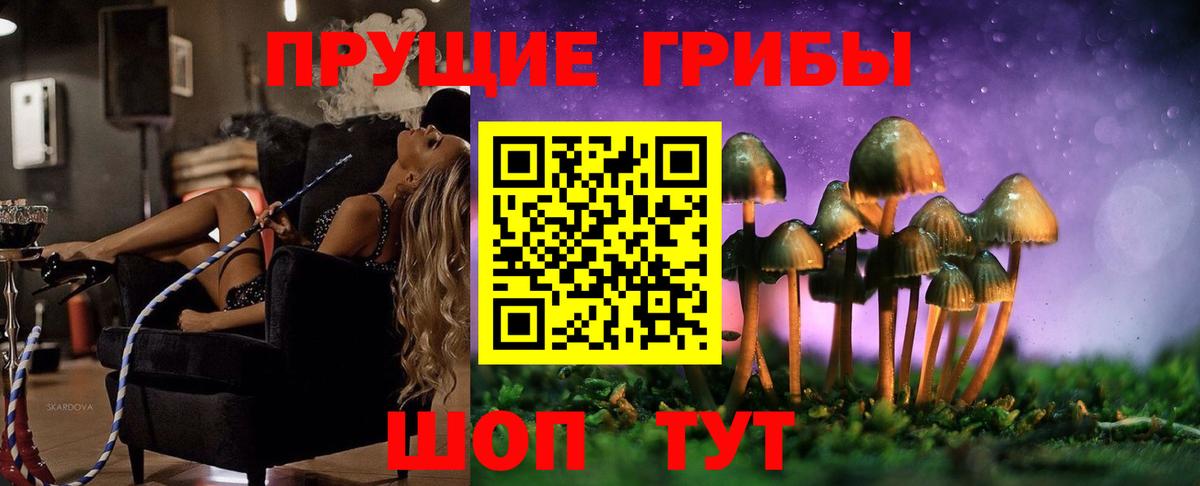 Галлюциногенные грибы прущие грибы Соль-Илецк