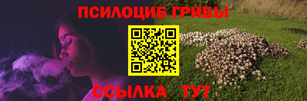 наркошоп  Вход с VPN  Псилоцибиновые грибы мицелий  Соль-Илецк  Галлюциногенные грибы Psilocybine cubensis 